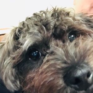 Meet your Posher, Kathy